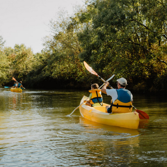 Jeudi 15 juillet : À vos pagaies ! pour un chantier participatif en canoë...