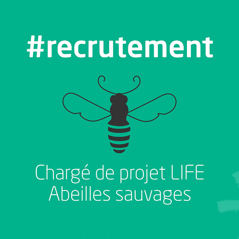 [Recrutement] Chargé de projet LIFE Abeilles sauvages