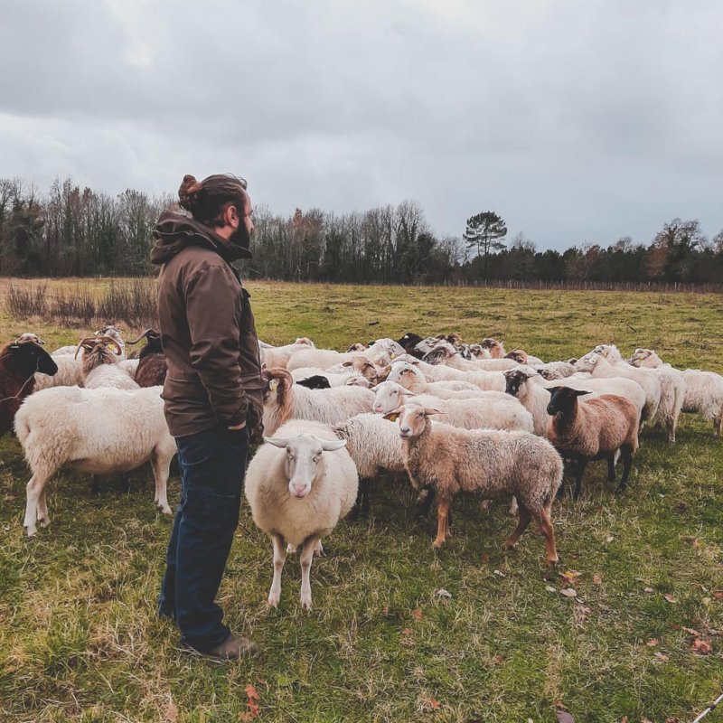 Les rencontres de l'écopastoralisme