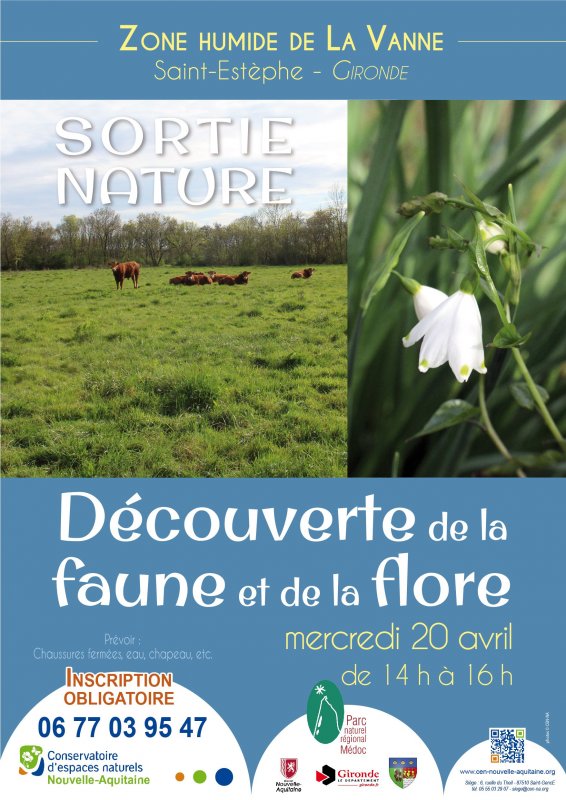 Sortie nature  Saint-Estphe