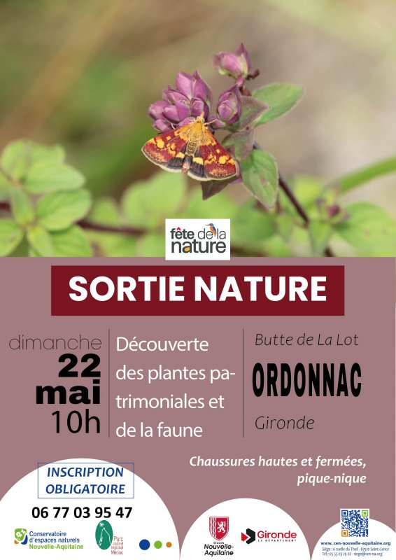 Sortie nature  Ordonnac