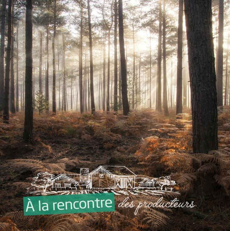 [A la rencontre des producteurs] Visite d'un massif forestier et découverte des métiers de la forêt