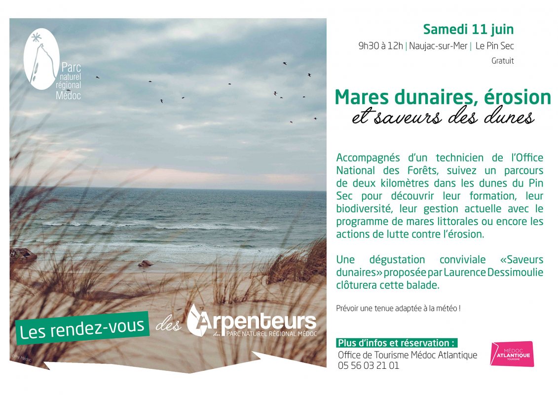 Mares dunaires, rosion et saveurs des dunes