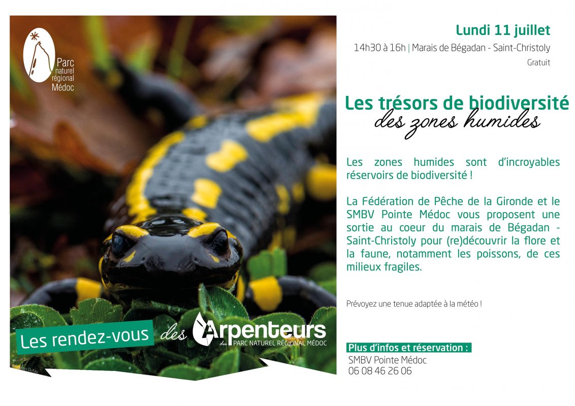 Les trsors de biodiversit des zones humides