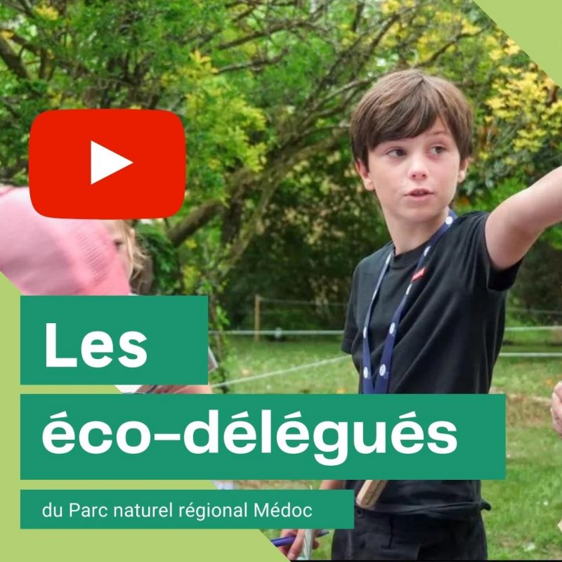 [Vidéo] Les jeunes engagés pour le développement durable