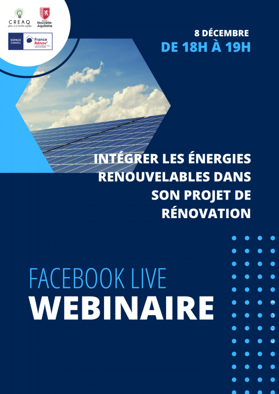 Visio-confrence : Intgrer les nergies renouvelables dans son projet de rnovation