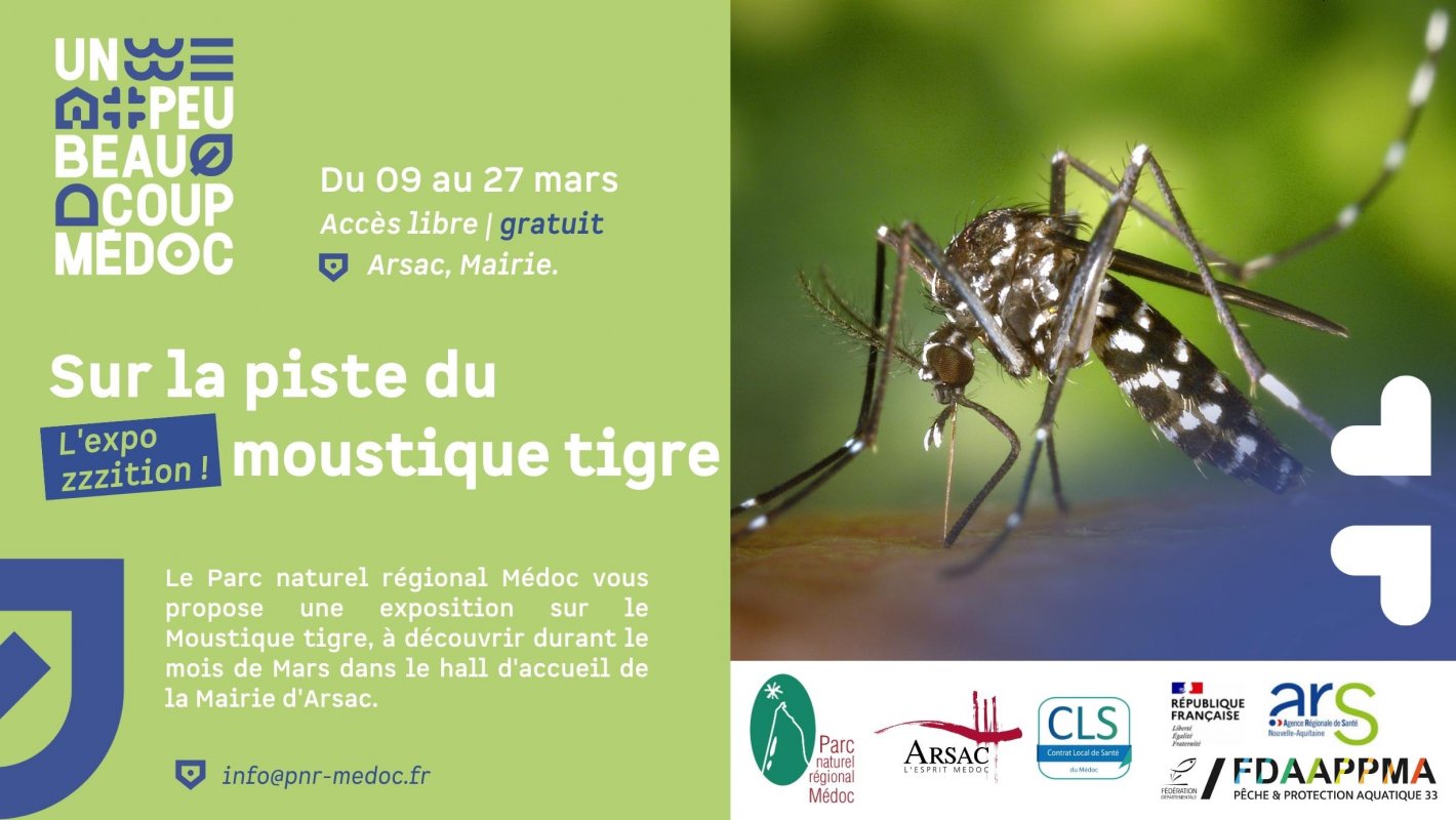 Expozzzition : Sur la piste du moustique tigre