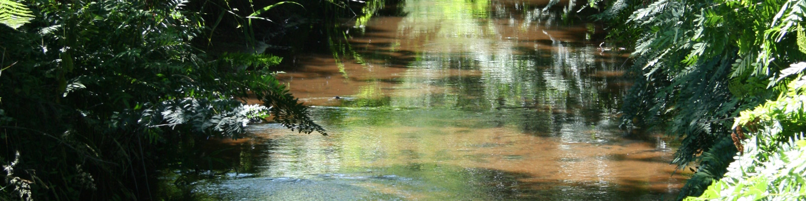 Journée mondiale des zones humides par Parc naturel régional Médoc