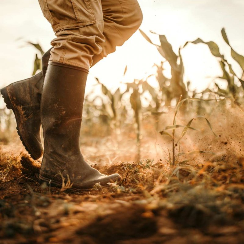 Conférence : Quel avenir pour l'agriculture médocaine  ?