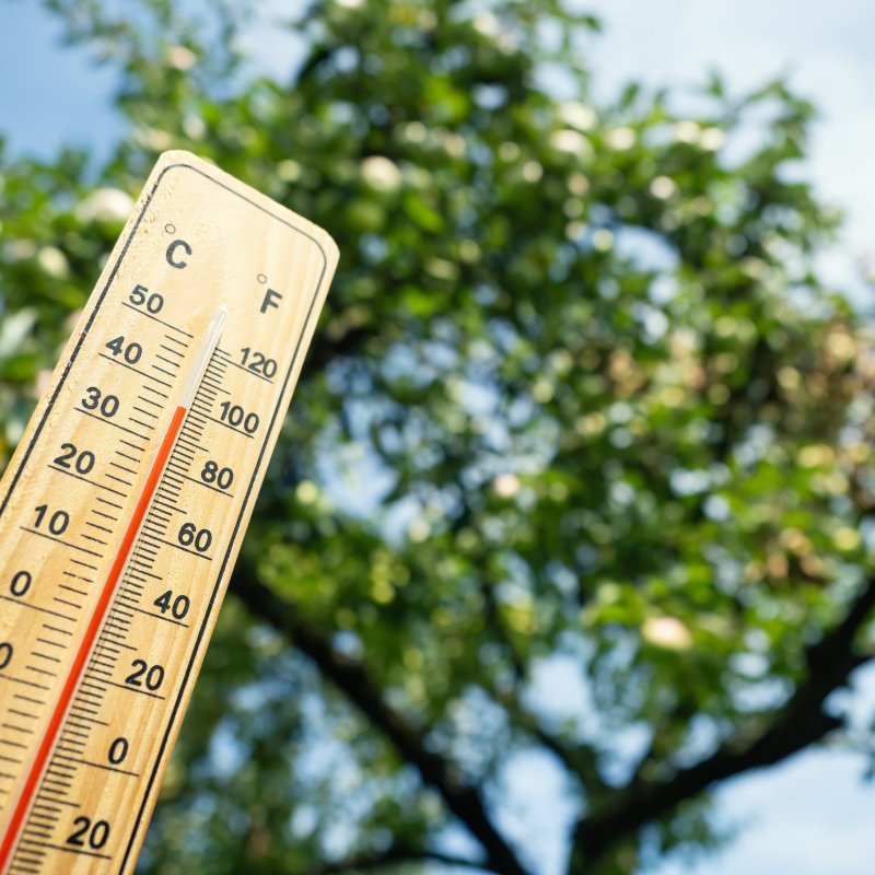 Tourisme et Changement climatique, quels enjeux pour le Médoc ? 