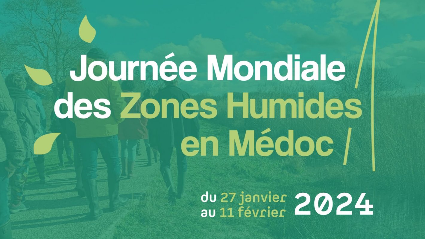 Les zones humides : entre reprsentations passes et perceptions actuelles (COMPLET)