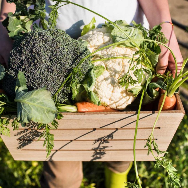 Le Médoc récompensé au Salon de l'Agriculture