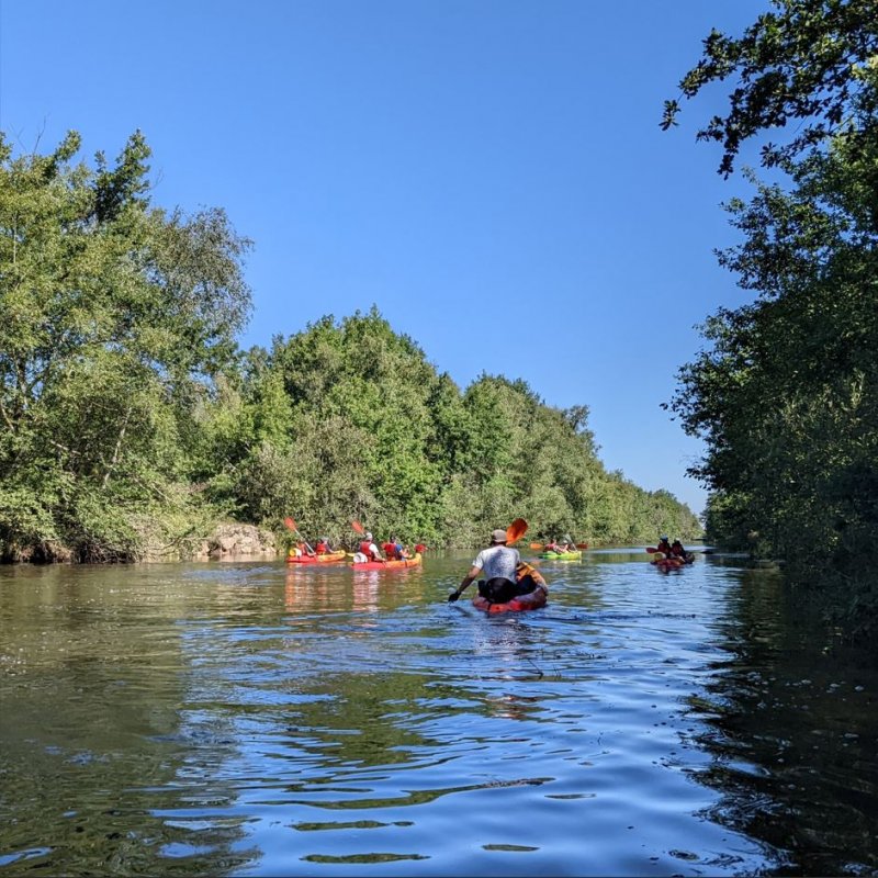 Les zones humides au fil des saisons