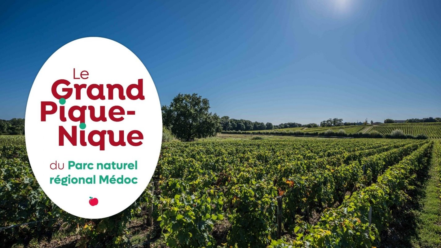 Le vignoble, un paysage  dchiffrer