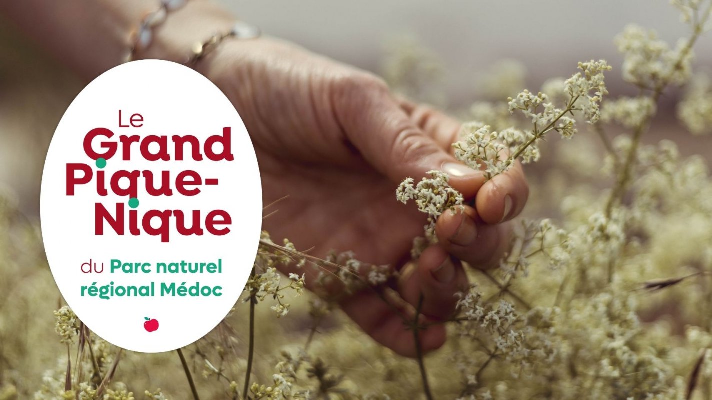  Les plantes sauvages comestibles