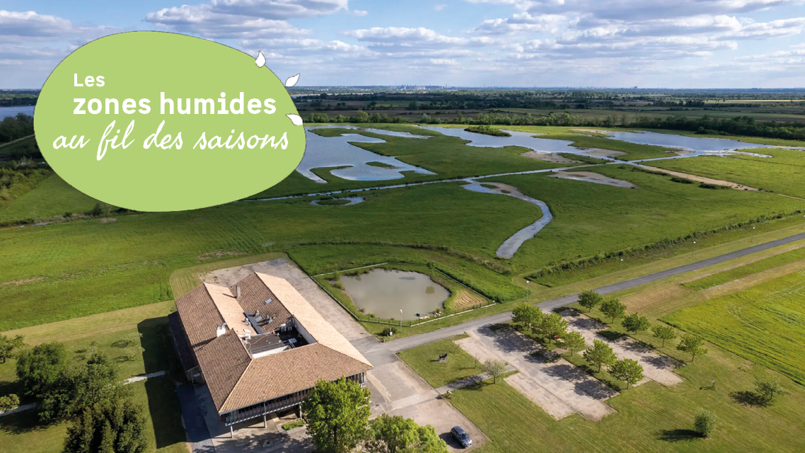 A la d�couverte des oiseaux migrateurs et de leurs proies