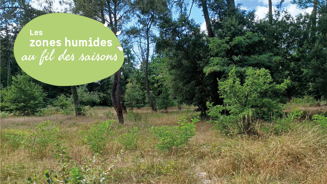 A la d�couverte de l'Espace Naturel Sensible de Tana�s