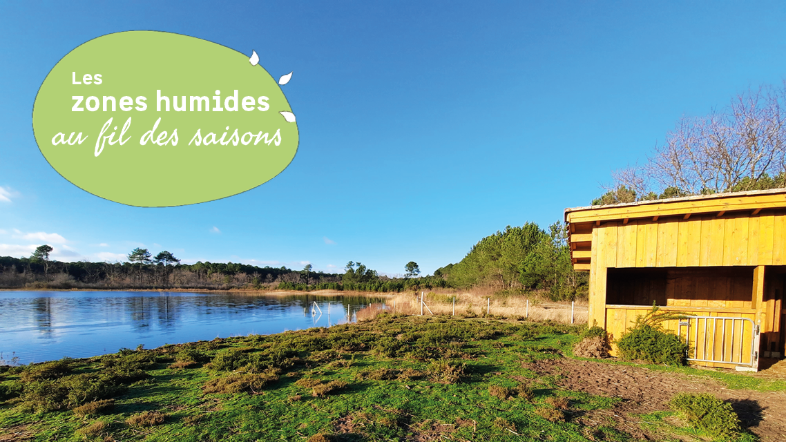 Balade d�couverte de l'�tang de Langouarde