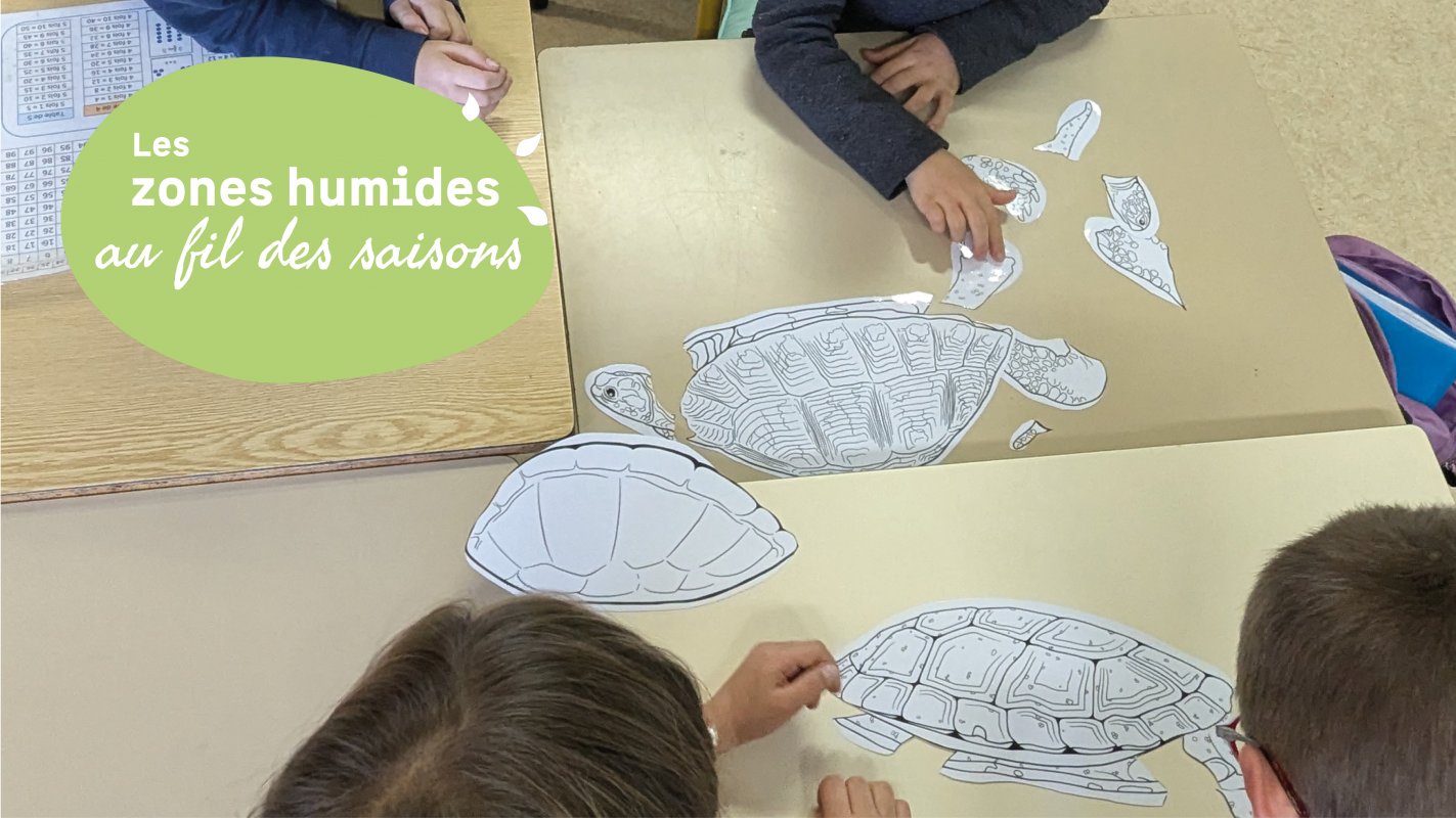 Les petits d�j nature des enfants : vis ma vie de Cistude !