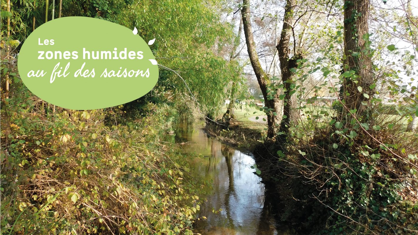 Sortie entre les jalles : venez d�couvrir Castelnau-de-M�doc