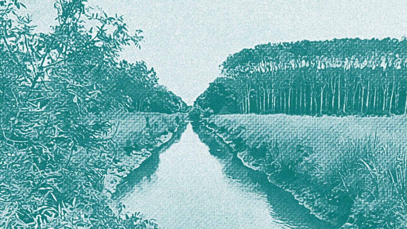 Cin�-d�bat : la mise en r�cit des paysages et de la biodiversit� des marais de Saint-Laurent-M�doc et de Beychevelle