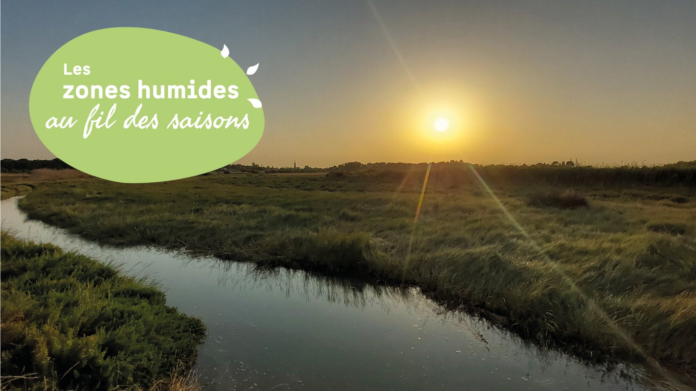 Le sentier de l'Estuaire