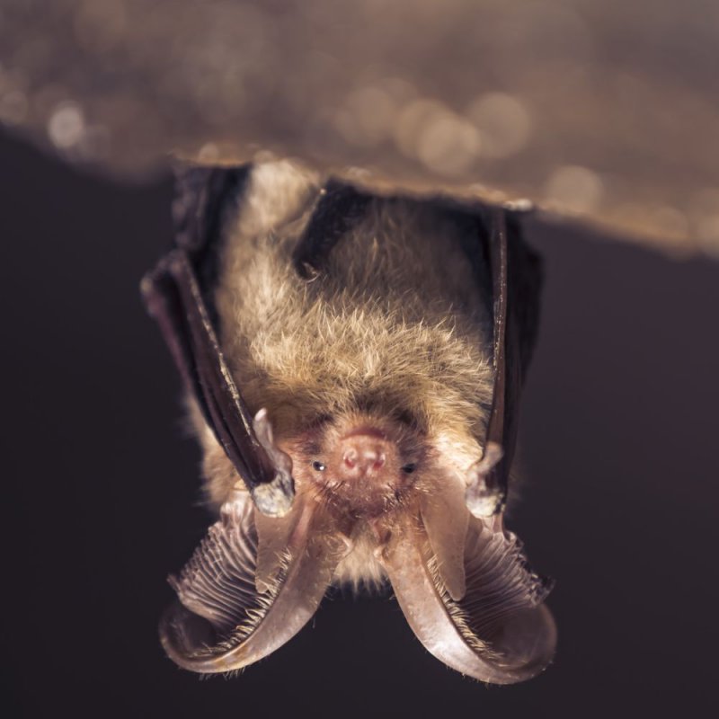 Slide 1 Pays M�doc