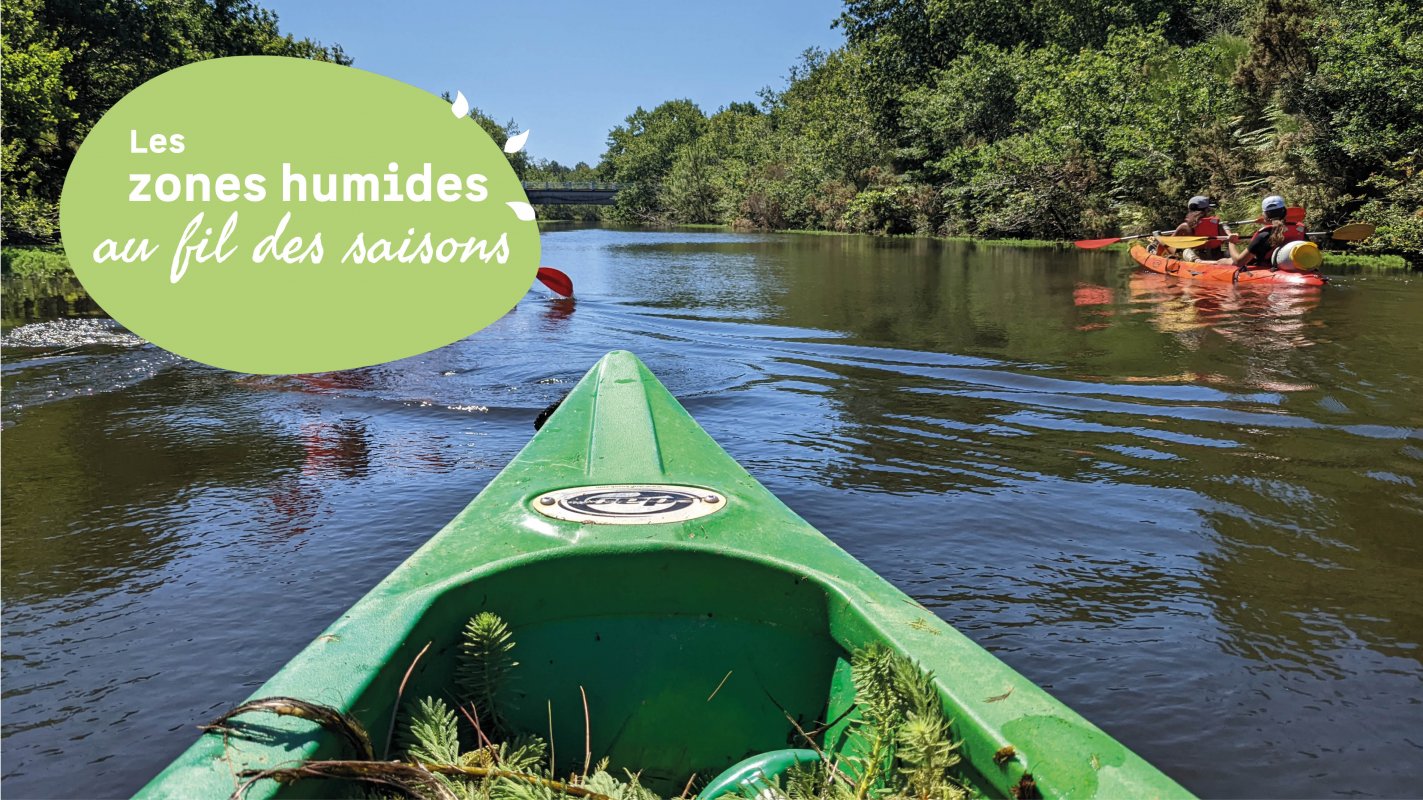 Chantier participatif : le canal des �tangs en cano�