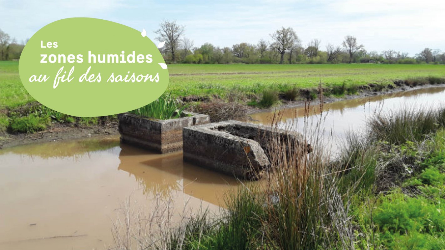 Au coeur des marais de Ludon-M�doc