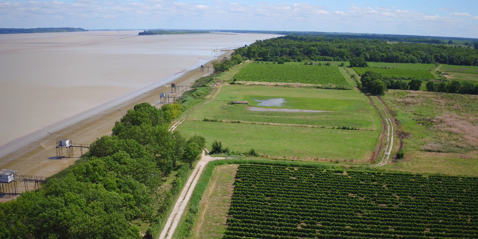 médoc paysage