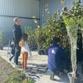 Parc naturel rgional Mdoc