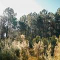Parc naturel régional Médoc