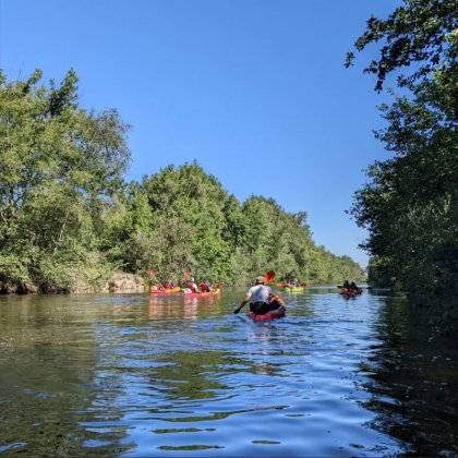 Les zones humides au fil des saisons